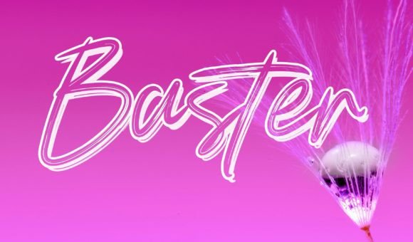 Baster in the Wild: A Bold Handwritten Font for Real Branding